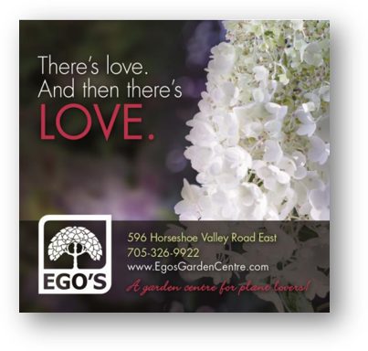 Egos