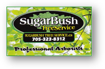 Sugarbush