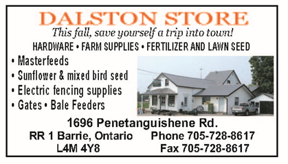 dalstonstore