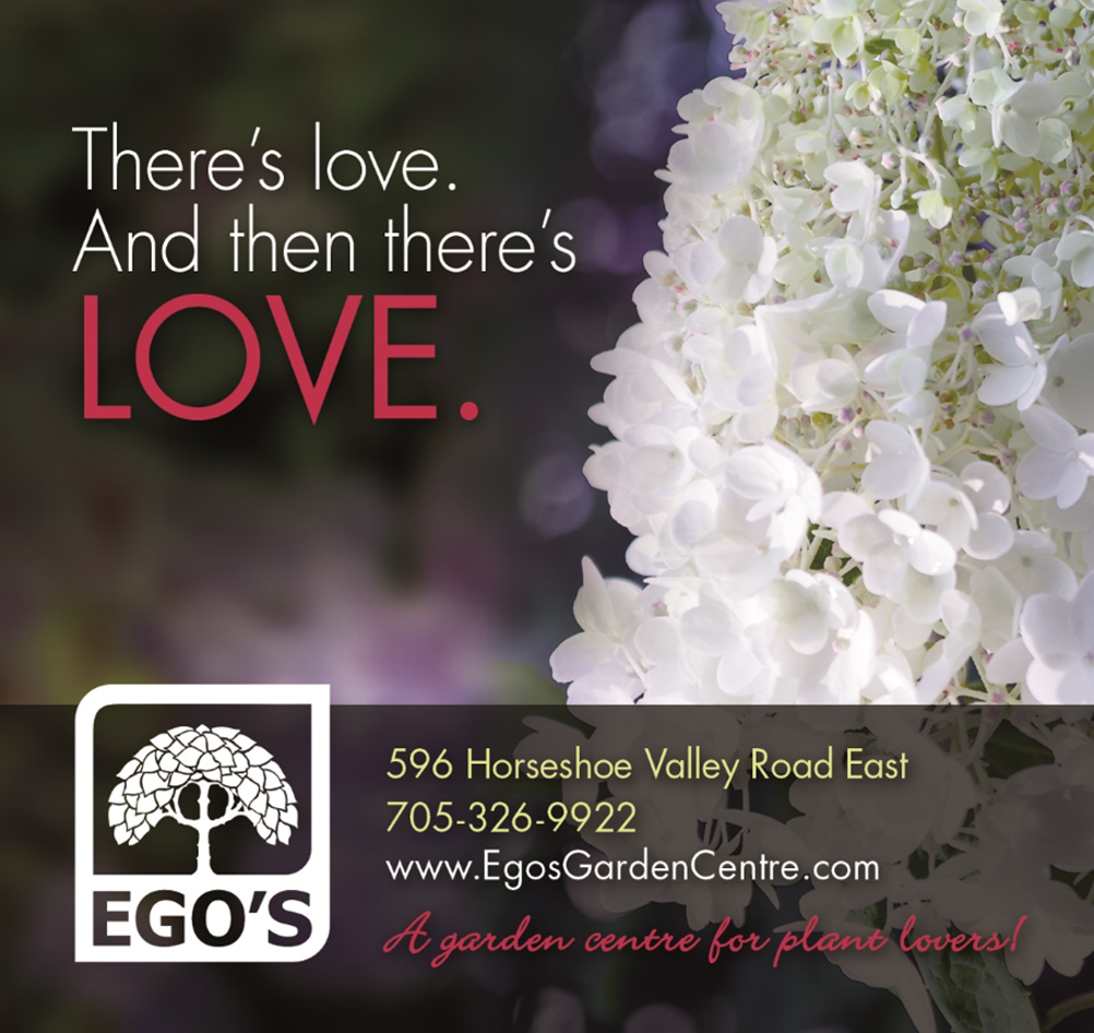 egos